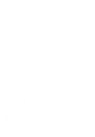 clipart fotóalbumok