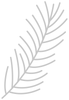 clipart fotóalbumok