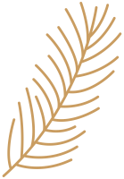 clipart fotóalbumok