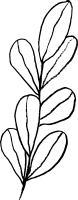 clipart fotóalbumok