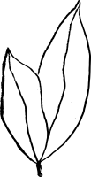 clipart fotóalbumok
