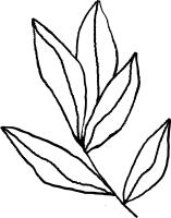 clipart fotóalbumok