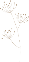 clipart fotóalbumok