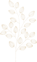 clipart fotóalbumok