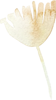 clipart fotóalbumok