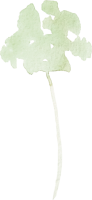 clipart fotóalbumok
