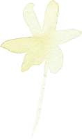 clipart fotóalbumok