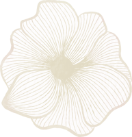 clipart fotóalbumok