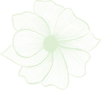 clipart fotóalbumok