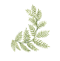 clipart fotóalbumok