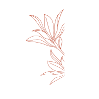 clipart fotóalbumok
