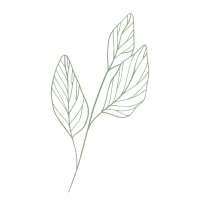 clipart fotóalbumok