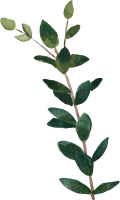 clipart fotóalbumok