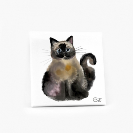 fénykép