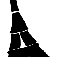 clipart fotóalbumok