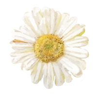 clipart fotóalbumok