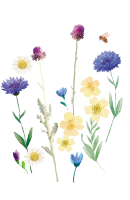 clipart fotóalbumok