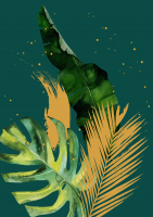 clipart fotóalbumok