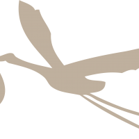 clipart fotóalbumok