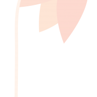 clipart fotóalbumok
