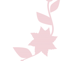 clipart fotóalbumok