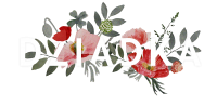 clipart fotóalbumok