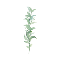 clipart fotóalbumok