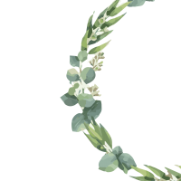clipart fotóalbumok