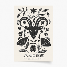 Poszter, Kos, 21x30