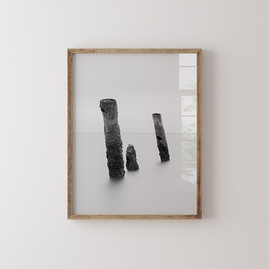 Poszter, Fekete-fehér: Fák, 30x40