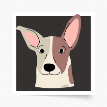 Poszter, Kutyák: Jack Russell, 30x30