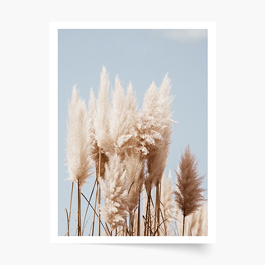 Poszter, Bohém 2, 30x40