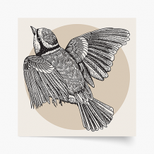 Poszter, Madarak: Madárka 2, 30x30