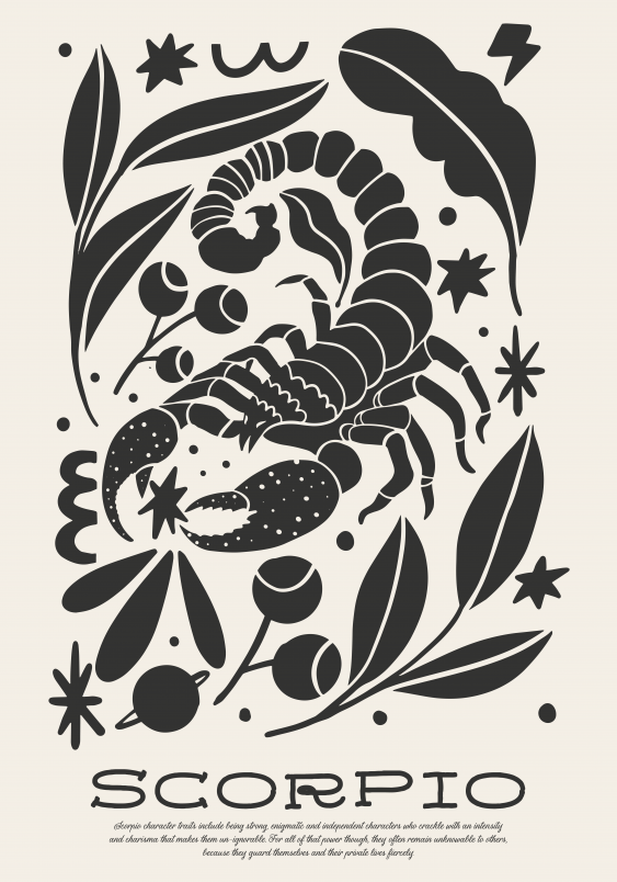 Kép, Skorpió, 20x30 cm