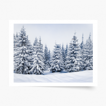 Poszter, Zima: A, 40x30