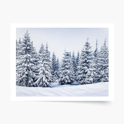 Poszter, Zima: A, 40x30