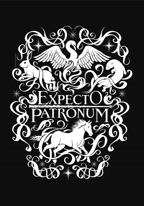 Poszter, Harry Potter: Várom a patrónust, 40x60