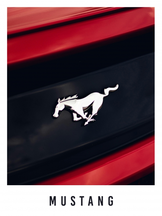 Poszter, Autók: Mustang, 30x40