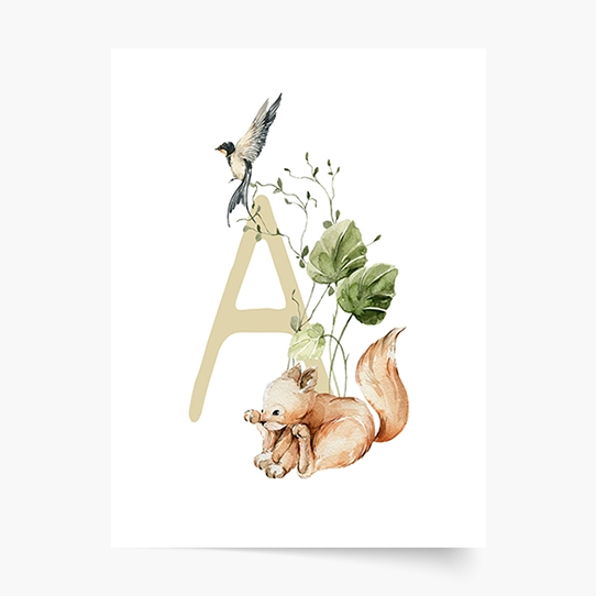 Poszter, Ábécé - A: Erdei állatok, 21x30