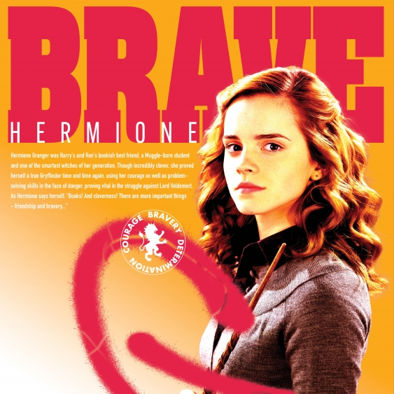 Poszter, Harry Potter: Bátor Hermione, 30x30
