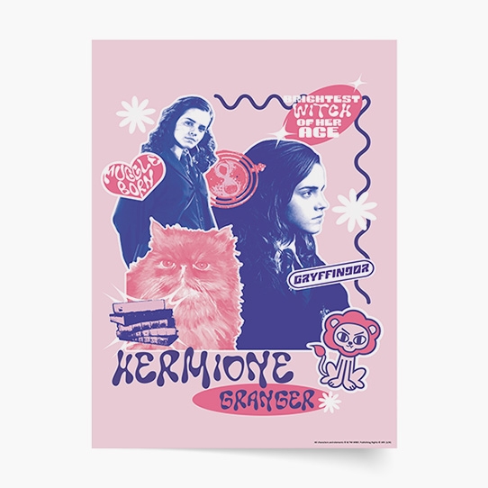 Poszter, Harry Potter: Griffendél - Hermiona, 30x40