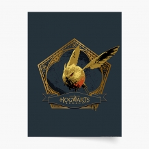 Poszter, Harry Potter: Roxfort öröksége, 50x70