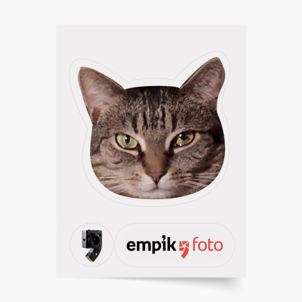 fénykép