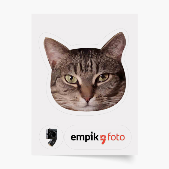 Matrica, 1 elemek