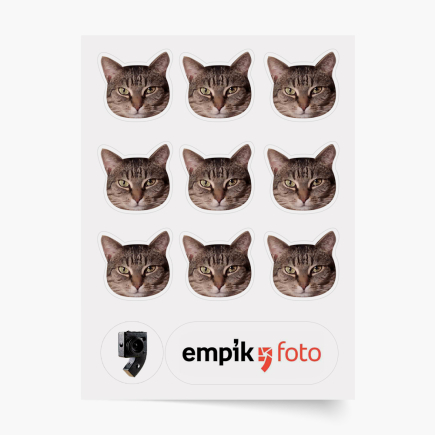 fénykép