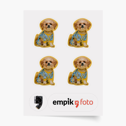 fénykép