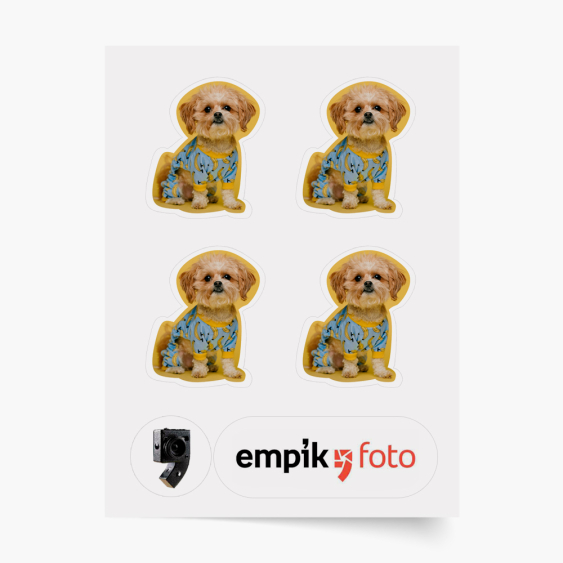 Matrica, 4 elemek