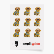 Matrica, 9 elemek