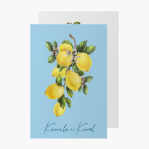 Meghívás, Lemons