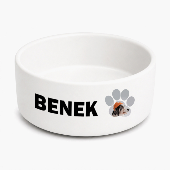 Ceramiczna miska dla psa, Mancsos mintájú kerámiatál kutyáknak
